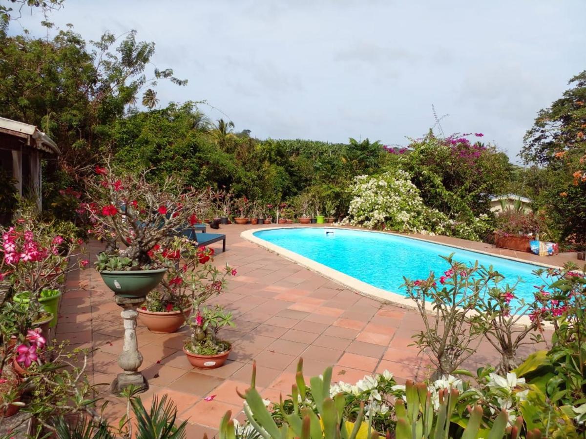 לה טריניטה La Villa Belle מראה חיצוני תמונה